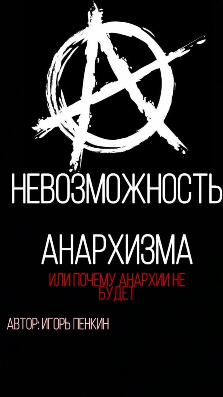s-n-s-nadeiushchiisia-kritika-nevozmozhnost-anarkh-1.jpg