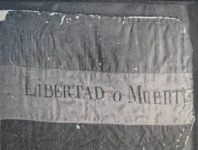 u-a-urugvaiskaia-anarkhistskaia-federatsiia-fau-or-4.png